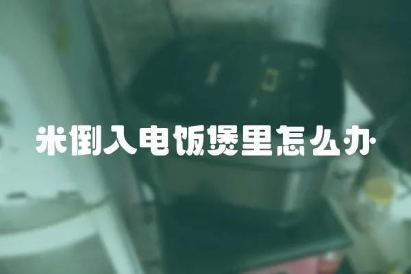 米倒入電飯煲里怎么辦
