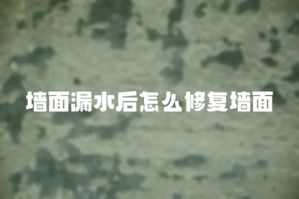 墻面漏水后怎么修復墻面