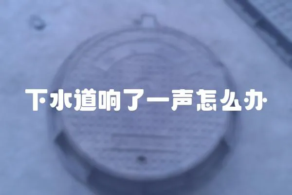 下水道響了一聲怎么辦