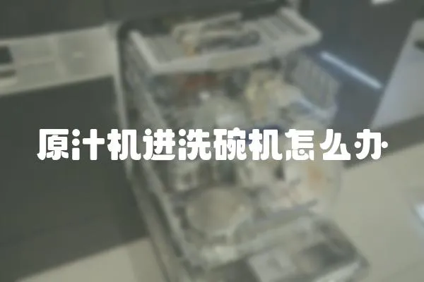 原汁機進洗碗機怎么辦