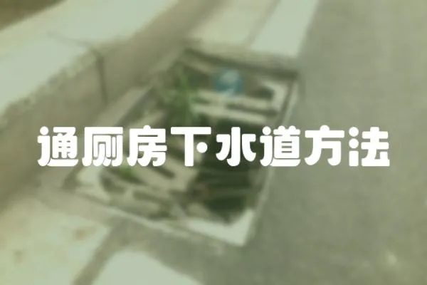通廁房下水道方法