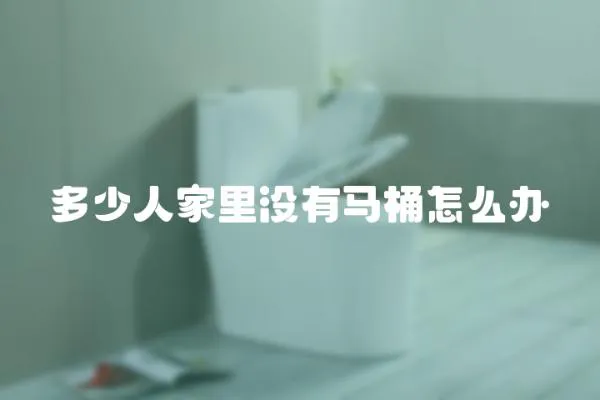 多少人家里沒有馬桶怎么辦