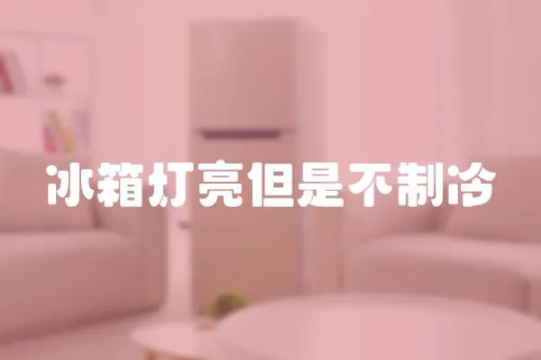 冰箱燈亮但是不制冷
