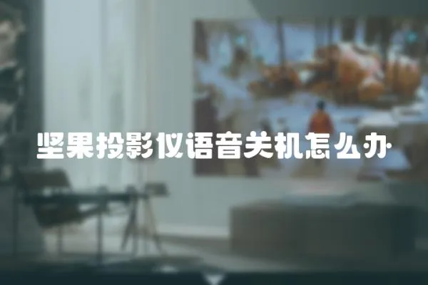堅(jiān)果投影儀語音關(guān)機(jī)怎么辦