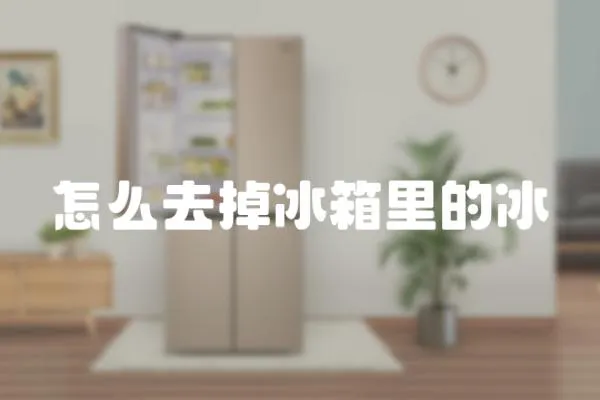怎么去掉冰箱里的冰