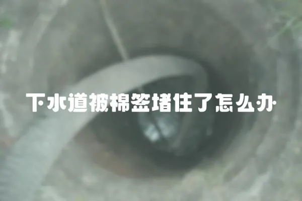 下水道被棉簽堵住了怎么辦