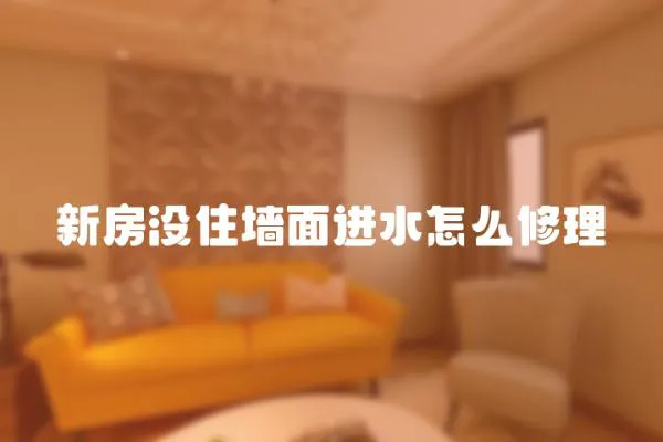 新房沒住墻面進水怎么修理