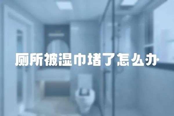 廁所被濕巾堵了怎么辦