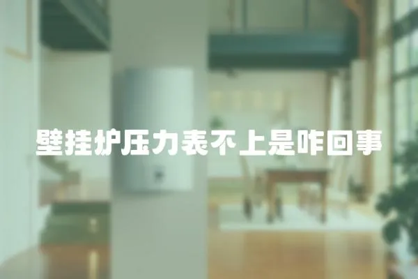 壁掛爐壓力表不上是咋回事