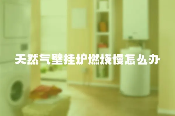 天然氣壁掛爐燃燒慢怎么辦