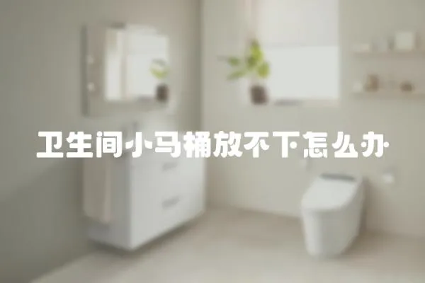 衛(wèi)生間小馬桶放不下怎么辦