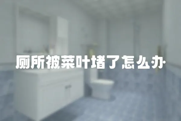 廁所被菜葉堵了怎么辦