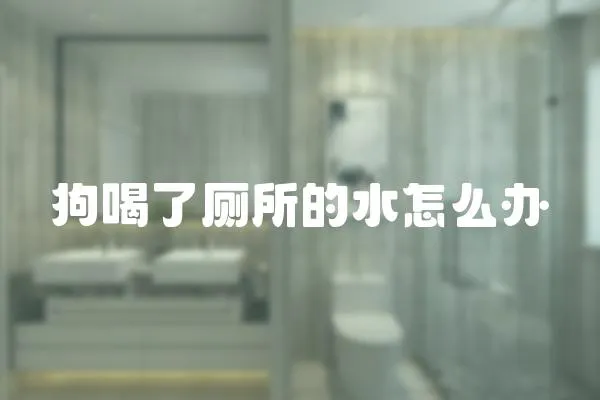 狗喝了廁所的水怎么辦