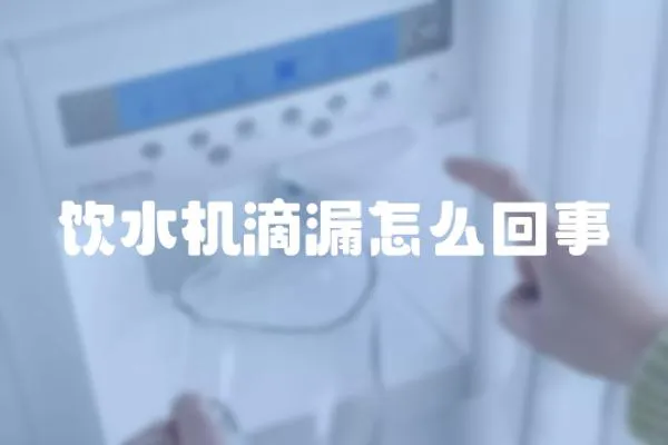 飲水機滴漏怎么回事