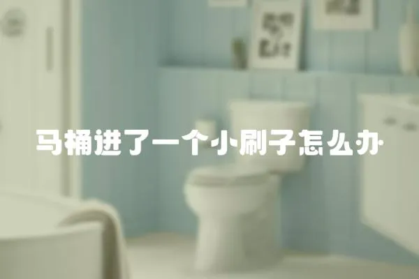 馬桶進了一個小刷子怎么辦