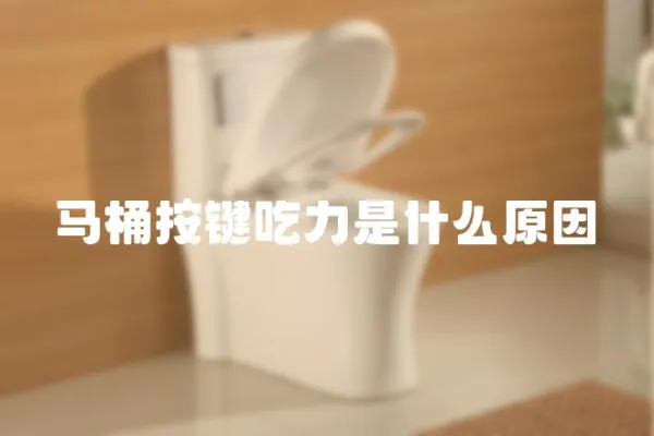 馬桶按鍵吃力是什么原因