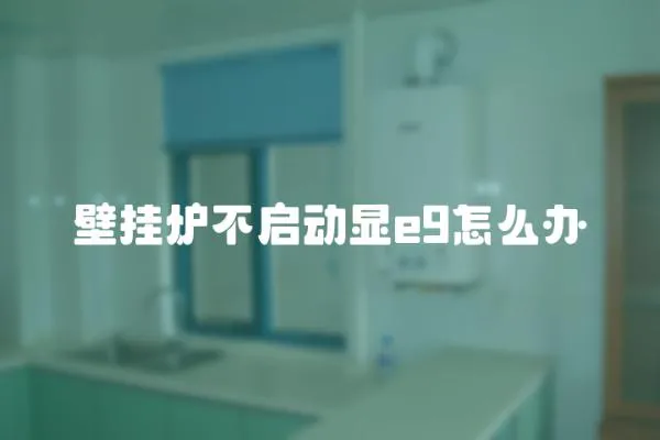 壁掛爐不啟動顯e9怎么辦