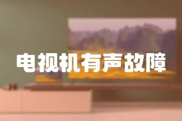 電視機(jī)有聲故障