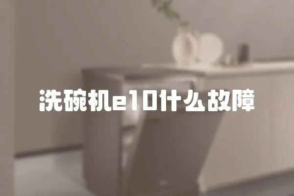 洗碗機e10什么故障