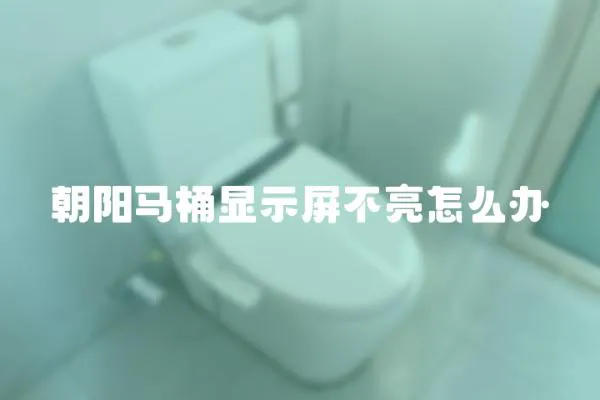 朝陽馬桶顯示屏不亮怎么辦