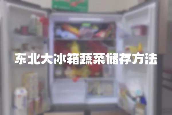 東北大冰箱蔬菜儲存方法