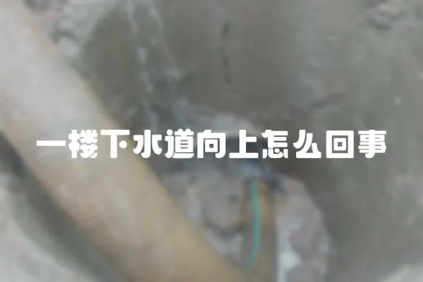 一樓下水道向上怎么回事