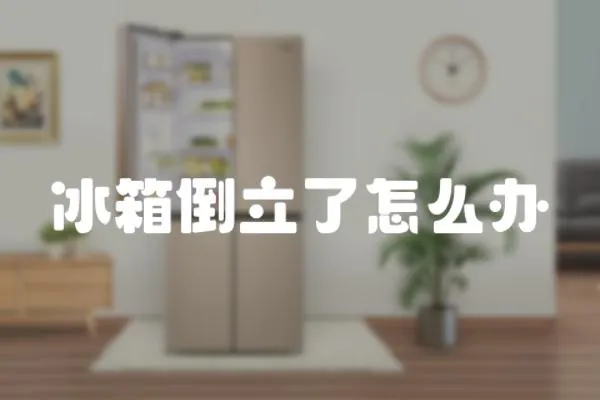 冰箱倒立了怎么辦