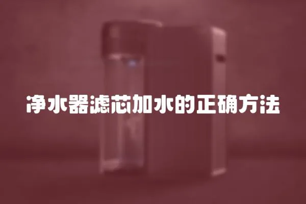 凈水器濾芯加水的正確方法