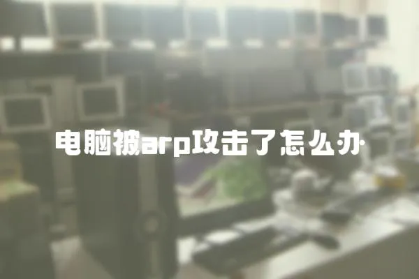 電腦被arp攻擊了怎么辦