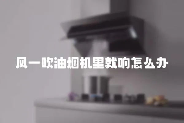 風(fēng)一吹油煙機里就響怎么辦