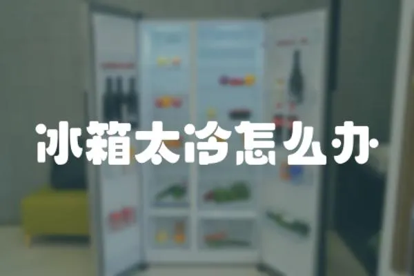 冰箱太冷怎么辦