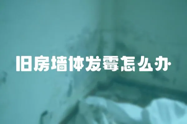舊房墻體發霉怎么辦