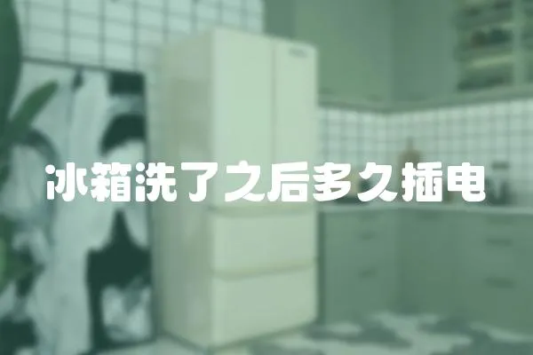 冰箱洗了之后多久插電