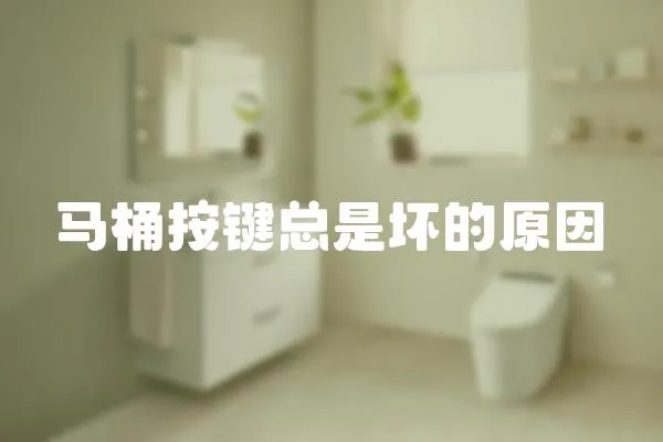 馬桶按鍵總是壞的原因