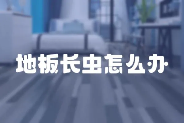 地板長蟲怎么辦