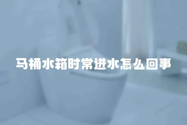 馬桶水箱時常進水怎么回事