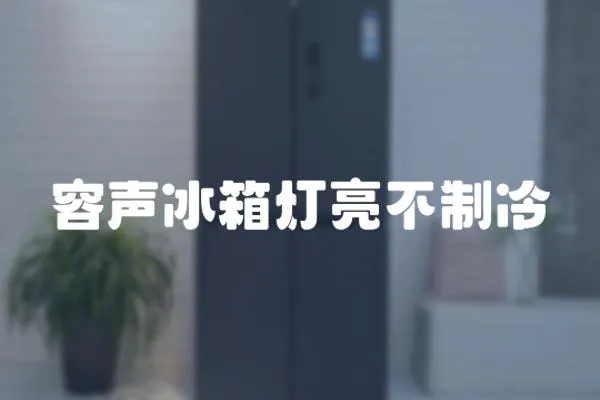 容聲冰箱燈亮不制冷