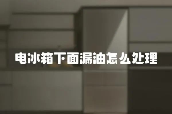 電冰箱下面漏油怎么處理