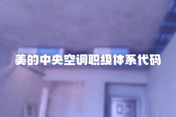 美的中央空調職級體系代碼