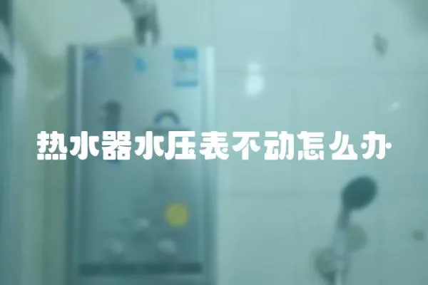 熱水器水壓表不動(dòng)怎么辦