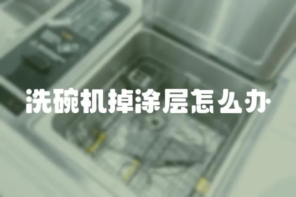 洗碗機掉涂層怎么辦