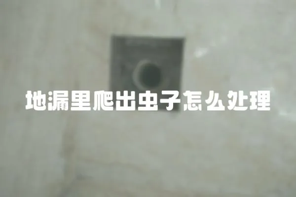 地漏里爬出蟲子怎么處理