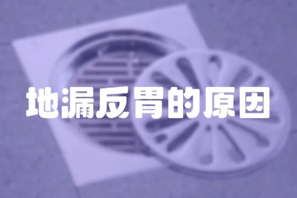 地漏反胃的原因