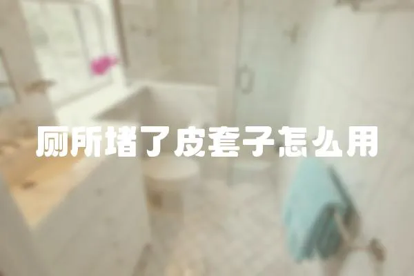 廁所堵了皮套子怎么用