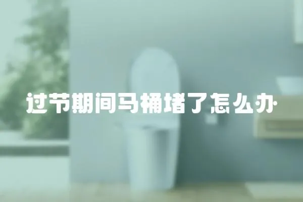 過節期間馬桶堵了怎么辦