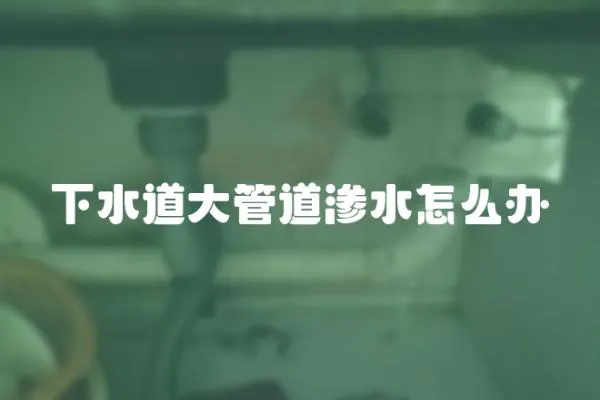 下水道大管道滲水怎么辦