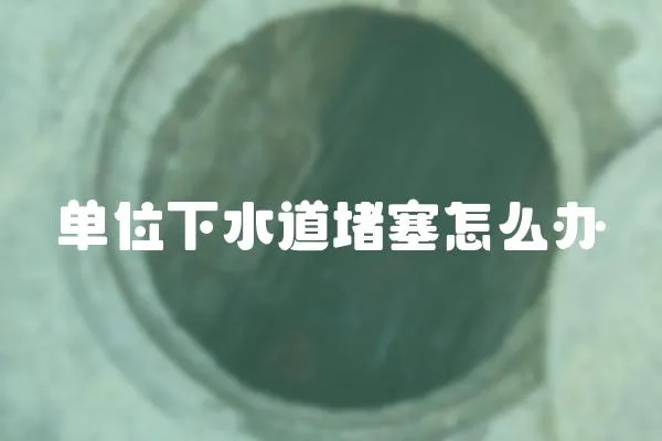 單位下水道堵塞怎么辦