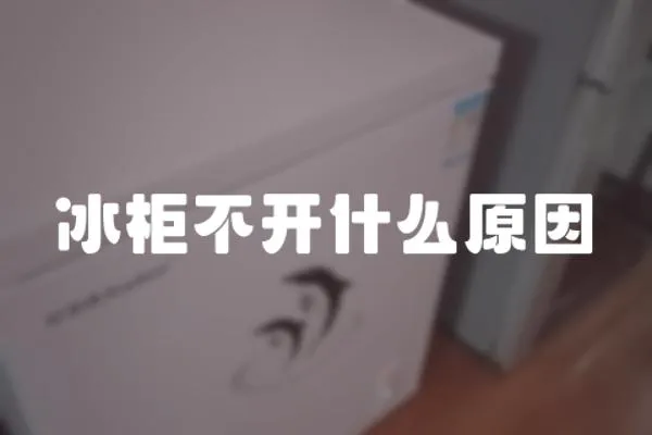 冰柜不開什么原因