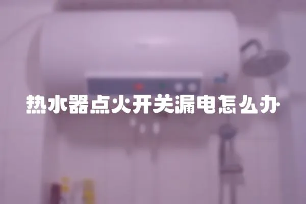 熱水器點火開關漏電怎么辦
