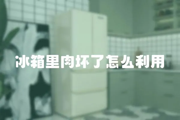冰箱里肉壞了怎么利用
